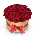 Box červených růží